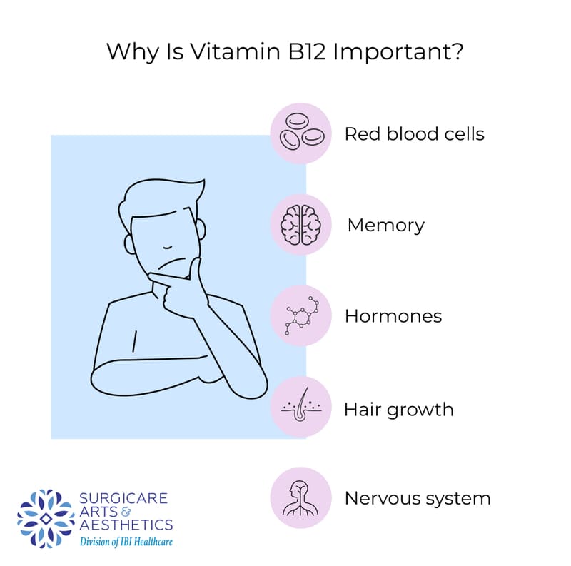 Why is B12 important